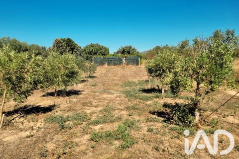 Tontti myytävänä Ginestar, Tarragona, Espanja , 940 m2 No. 195041 - kuva 11