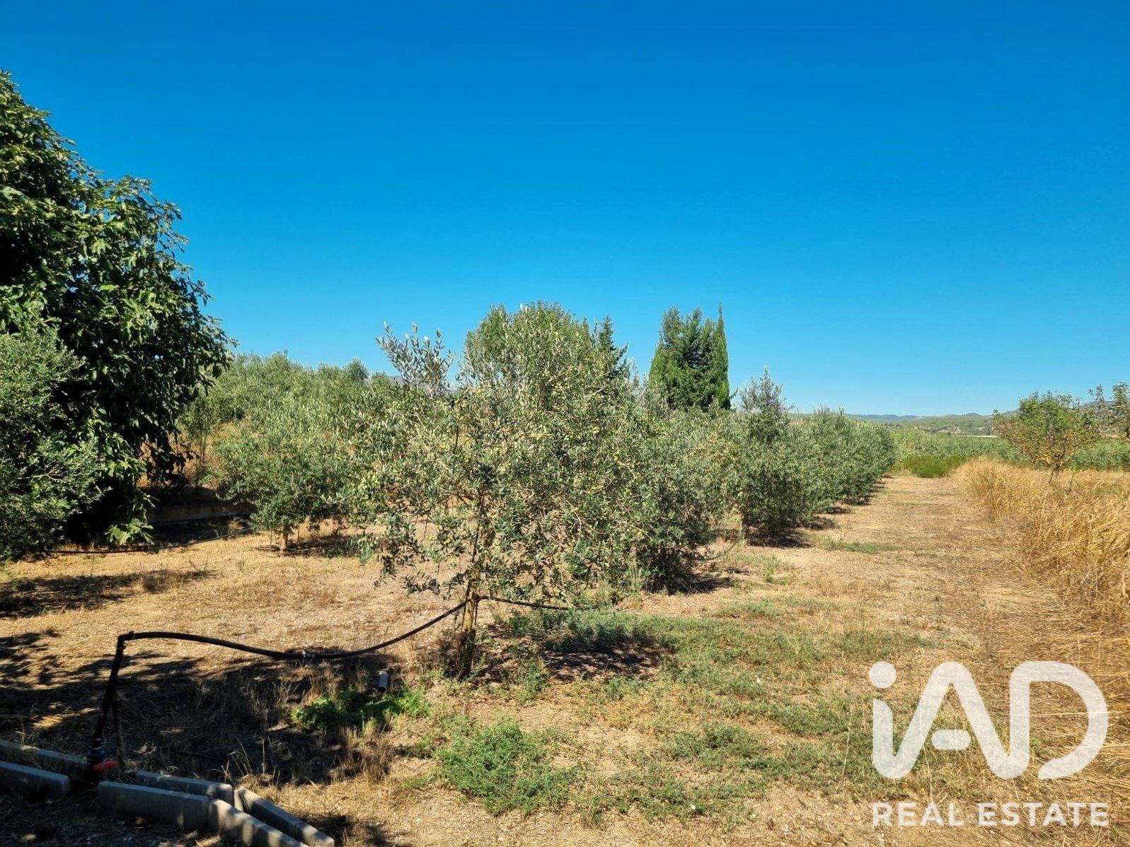 Tontti Ginestar, Tarragona, Espanja 940 m2 No. 195041