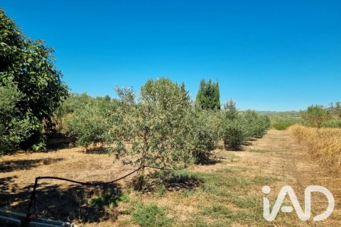 Tontti myytävänä Ginestar, Tarragona, Espanja , 940 m2 No. 195041 - kuva 10