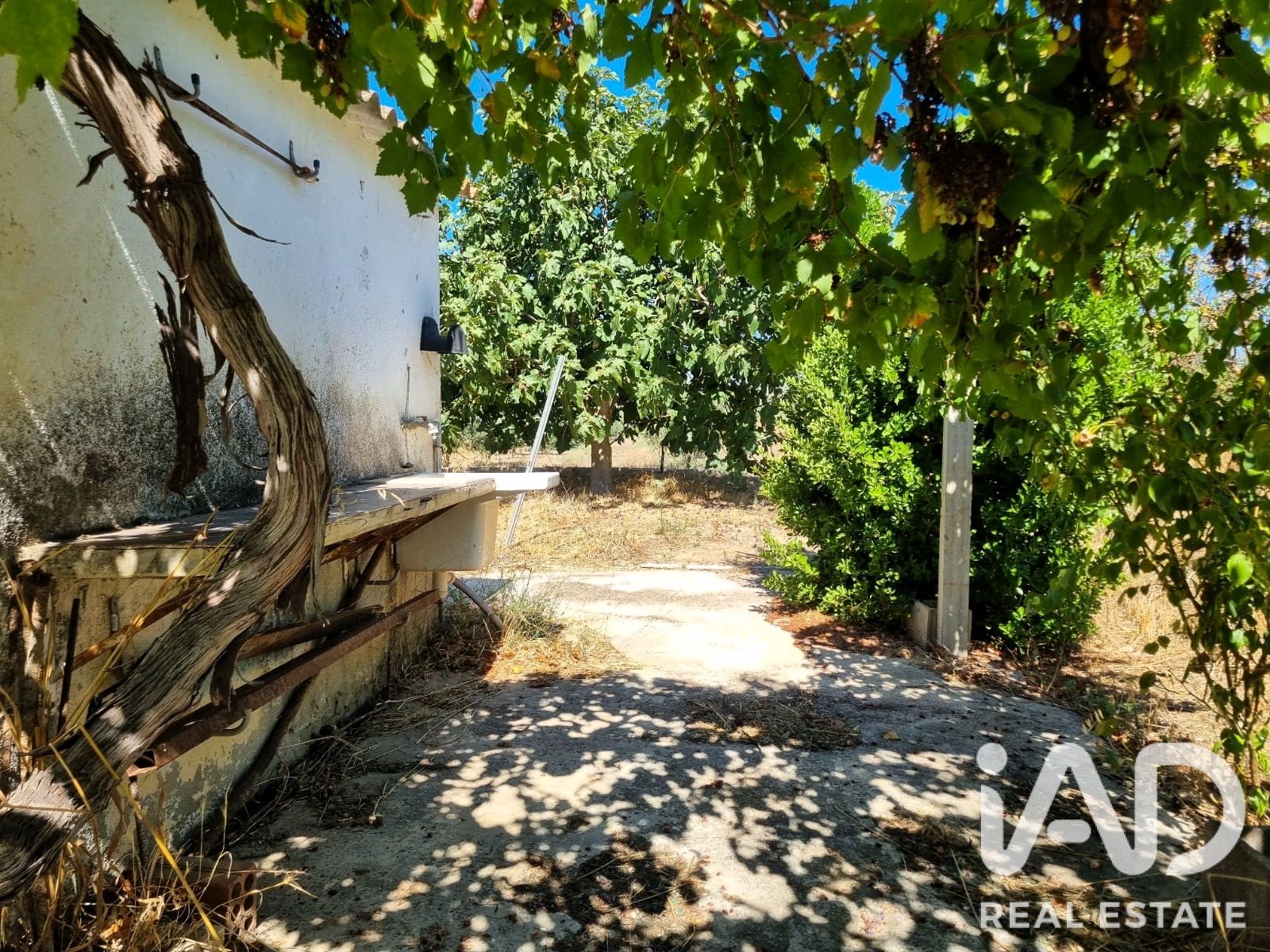 Tontti Ginestar, Tarragona, Espanja 940 m2 No. 195041