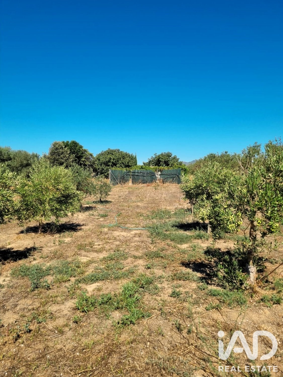 Tontti Ginestar, Tarragona, Espanja 940 m2 No. 195041