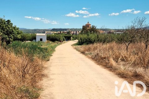 Tontti myytävänä Ginestar, Tarragona, Espanja , 940 m2 No. 195041 - kuva 13
