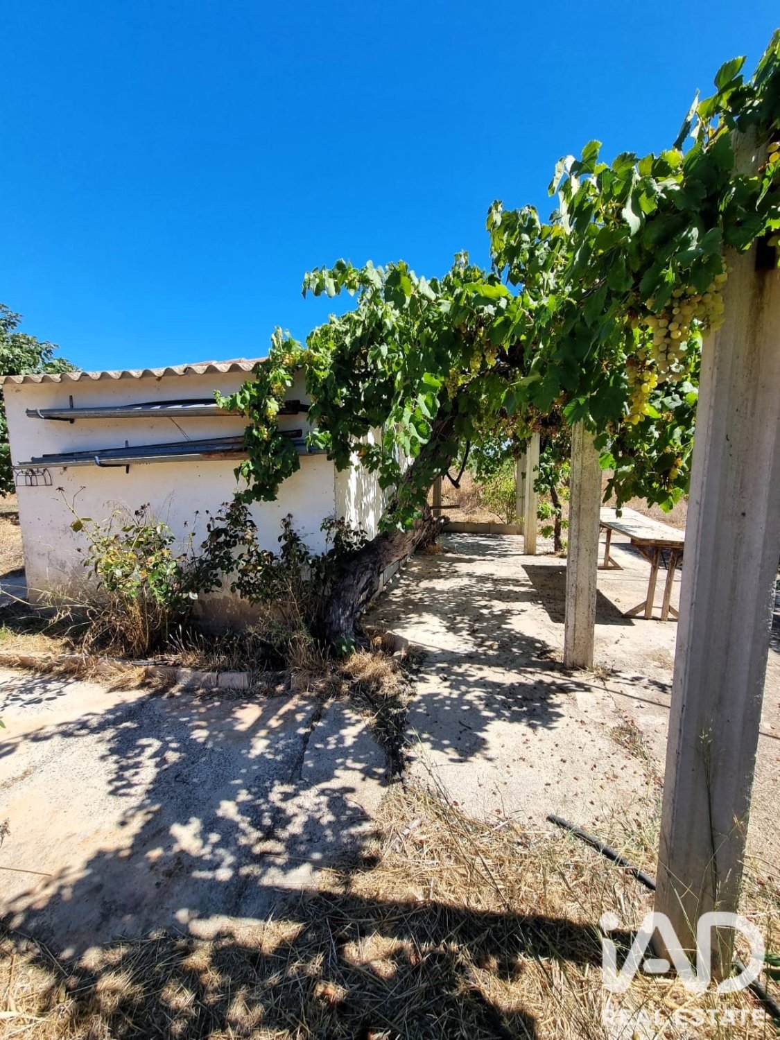 Tontti Ginestar, Tarragona, Espanja 940 m2 No. 195041