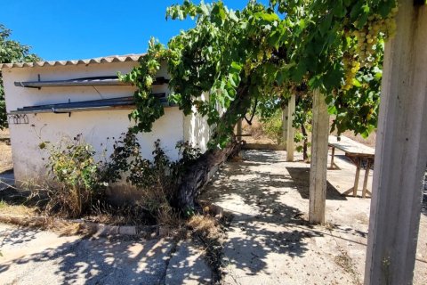 Tontti myytävänä Ginestar, Tarragona, Espanja , 940 m2 No. 195041 - kuva 19