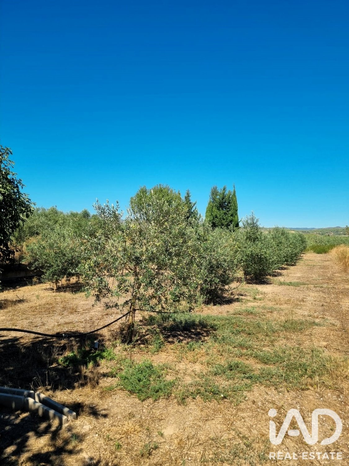 Tontti Ginestar, Tarragona, Espanja 940 m2 No. 195041