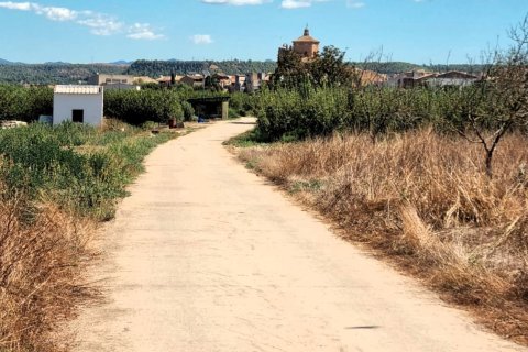 Tontti myytävänä Ginestar, Tarragona, Espanja , 940 m2 No. 195041 - kuva 25