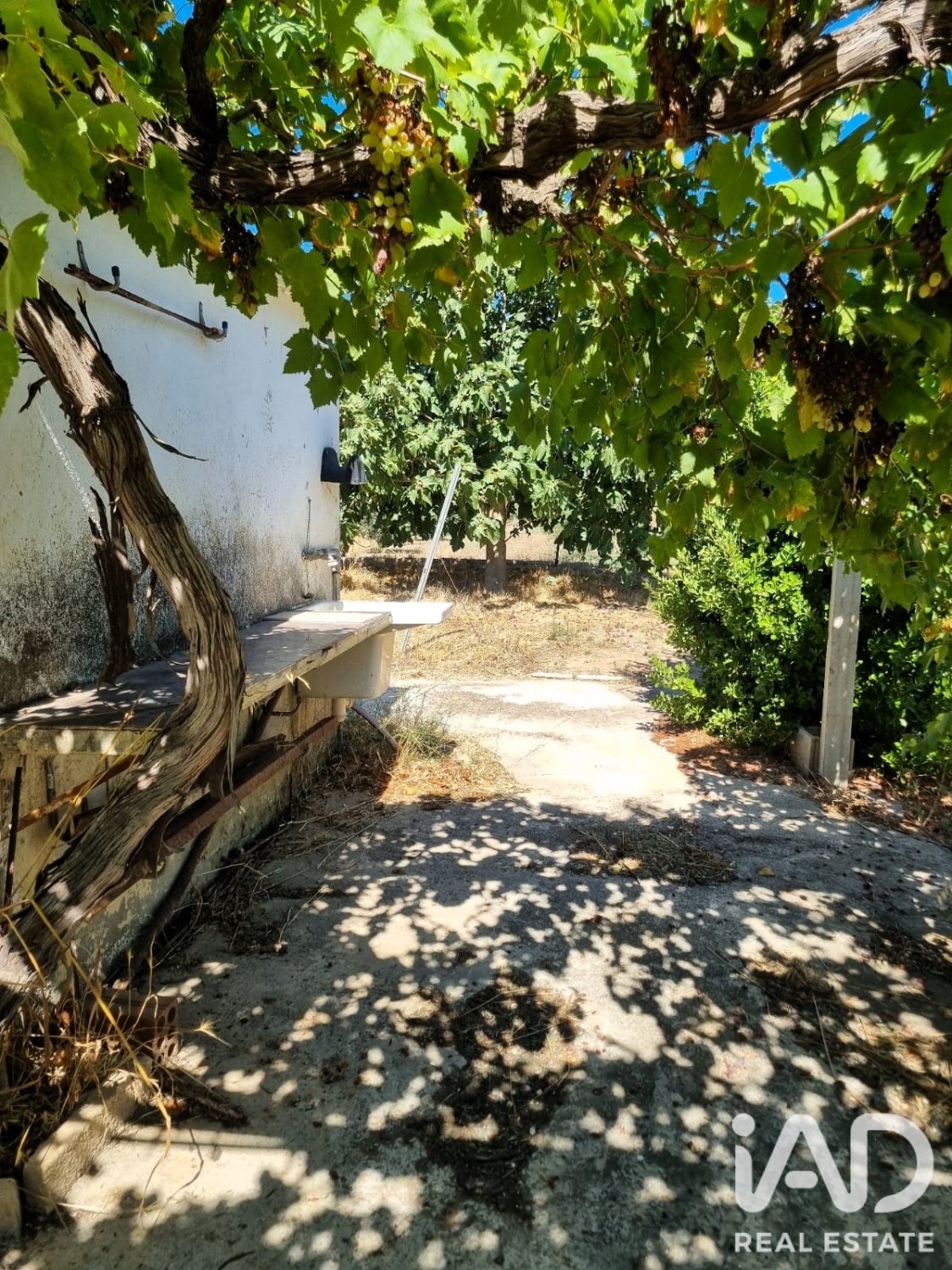 Tontti Ginestar, Tarragona, Espanja 940 m2 No. 195041