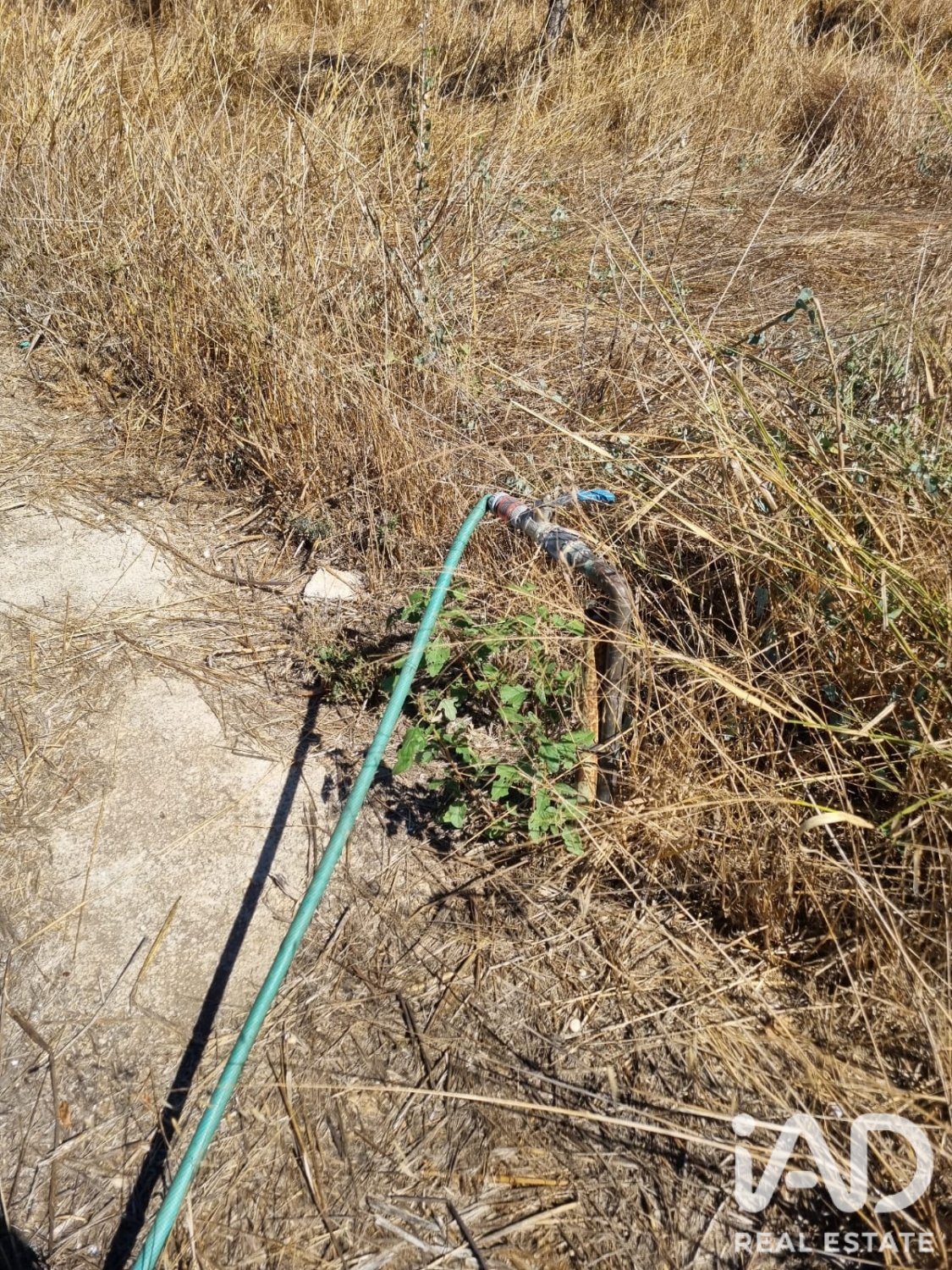 Tontti Ginestar, Tarragona, Espanja 940 m2 No. 195041