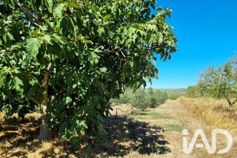 Tontti myytävänä Ginestar, Tarragona, Espanja , 940 m2 No. 195041 - kuva 9
