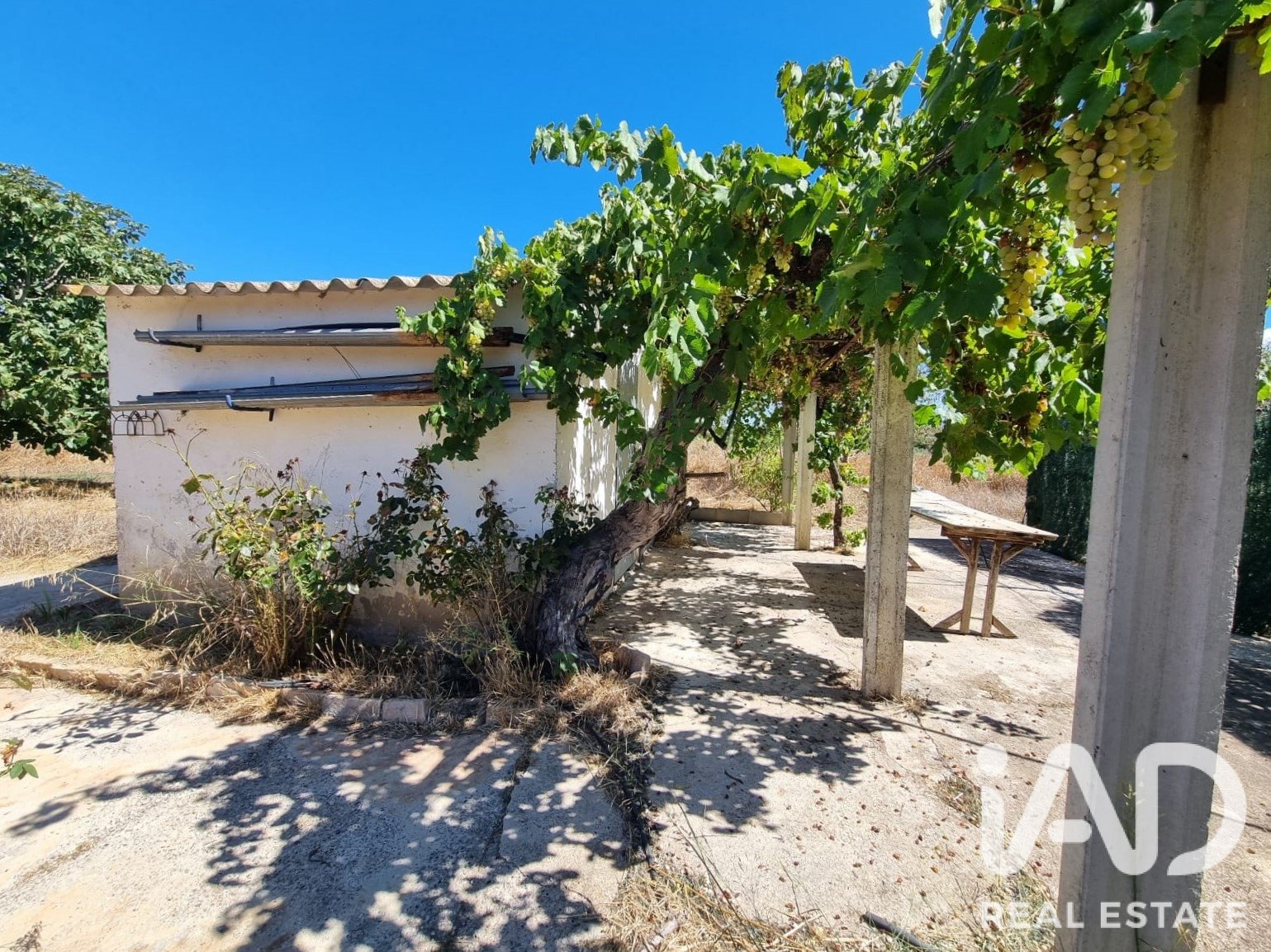 Tontti Ginestar, Tarragona, Espanja 940 m2 No. 195041
