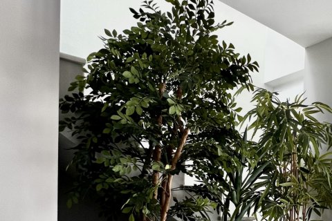 Duplex à vendre à San Roque, Cadiz, Espagne, 2 chambres, 171 m2 No. 152290 - photo 4