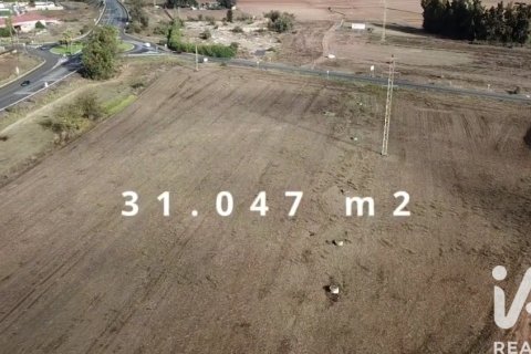 Land plot à vendre à Gibraleon, Huelva, Espagne, 21763 m2 No. 152288 - photo 3