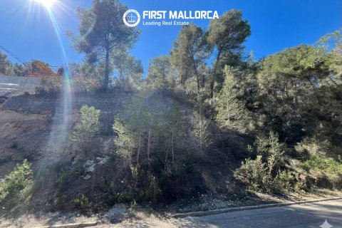 Tomt till salu i Costa D'en Blanes, Mallorca, Spanien 1739 kvm. Nr. 161663 - foto 4