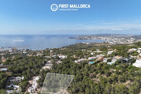 Terreno a Costa D'en Blanes, Mallorca, Spagna 1739 mq. N° 161663