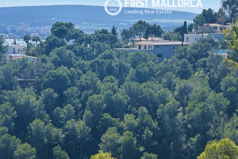 Parcela en venta en Costa D'en Blanes, Mallorca, España 1739 m2 No. 161663 - foto 5