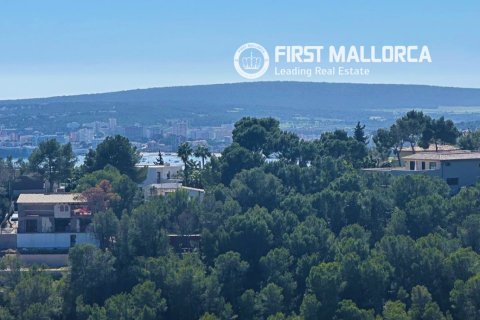 Zemes gabals Costa D'en Blanes, Mallorca, Spānijā 1739 m2 Nr. 161663