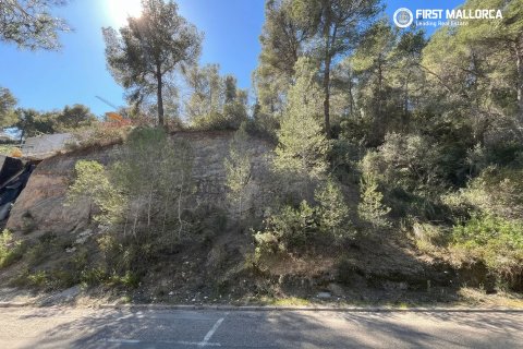 Parcela en Costa D'en Blanes, Mallorca, España 1739 m2 No. 161663