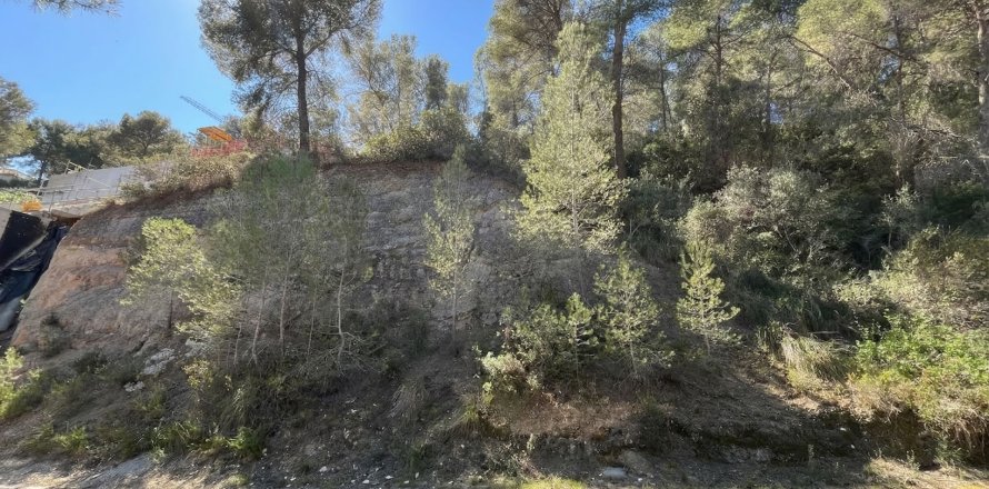 Parcela en Costa D'en Blanes, Mallorca, España 1739 m2 No. 161663