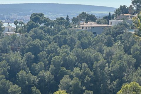 Tontti Costa D'en Blanes, Mallorca, Espanja 1739 m2 No. 161663