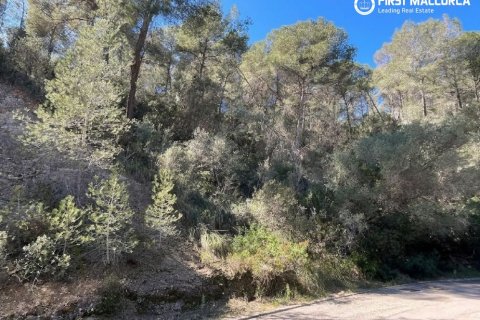 Parcela en venta en Costa D'en Blanes, Mallorca, España 1739 m2 No. 161663 - foto 2