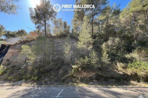 Tomt till salu i Costa D'en Blanes, Mallorca, Spanien 1739 kvm. Nr. 161663 - foto 3