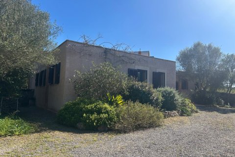 Finca en venta en Manacor, Mallorca, España 4 dormitorios, 295 m2 No. 161661 - foto 3