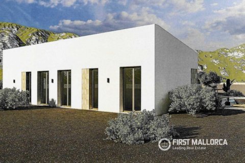 Parcela en venta en Alcudia, Mallorca, España 3 dormitorios, 15667 m2 No. 161662 - foto 5