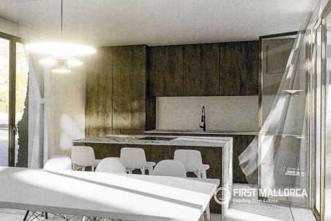 Parcela en venta en Alcudia, Mallorca, España 3 dormitorios, 15667 m2 No. 161662 - foto 9