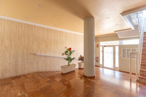 Duplex for sale in Guardamar del Segura, Alicante, Spain 3 bedrooms, 85 sq.m. No. 179754 - photo 29