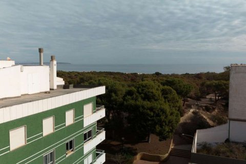 Apartament w Guardamar del Segura, Alicante, Hiszpania 1 sypialnia, 56.82 mkw. nr 181451 – zdjęcie 7
