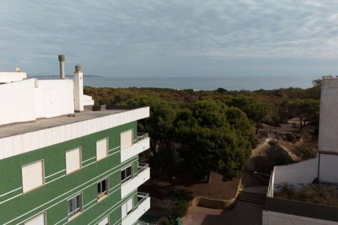 Apartament w Guardamar del Segura, Alicante, Hiszpania 1 sypialnia, 56.82 mkw. nr 181451 – zdjęcie 5