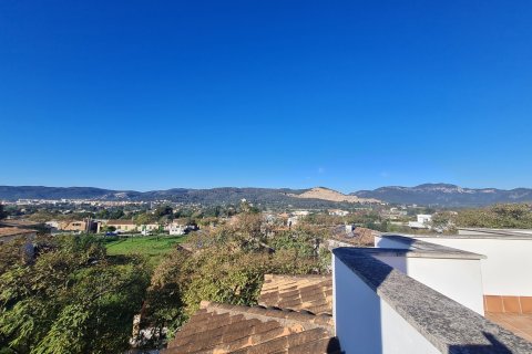 Аренда пентхауса в Пальма-де-Майорка, Майорка, Испания 3 спальни, 110м2 №155489 - фото 5