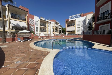 Аренда пентхауса в Пальма-де-Майорка, Майорка, Испания 3 спальни, 110м2 №155489 - фото 19