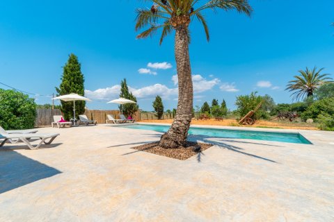 Аренда финки в Кампос, Майорка, Испания 5 спален, 308м2 №155490 - фото 25