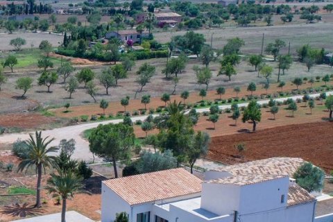 Аренда финки в Кампос, Майорка, Испания 5 спален, 308м2 №155490 - фото 24