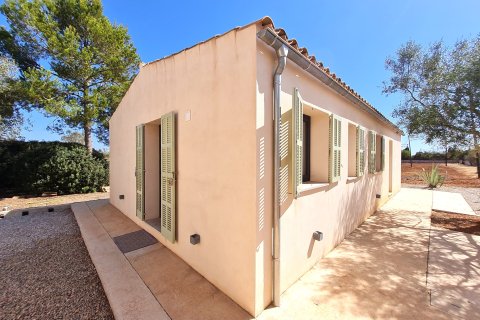 Аренда финки в Кампос, Майорка, Испания 5 спален, 308м2 №155490 - фото 28