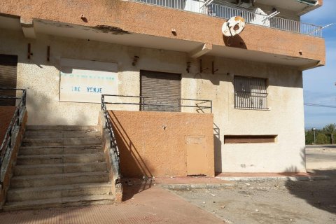 Commercial property in Guardamar del Segura, Alicante, Spain 210 sq.m. No. 183634