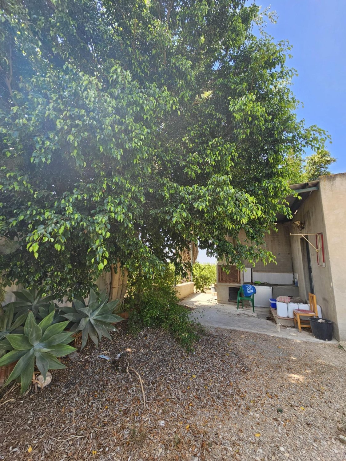 Land plot à Dolores, Alicante, Espagne 40 m2 No. 183632