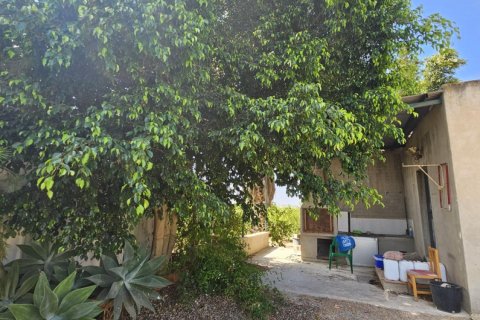 Terreno in vendita a Dolores, Alicante, Spagna 40 mq. N° 183632 - foto 2