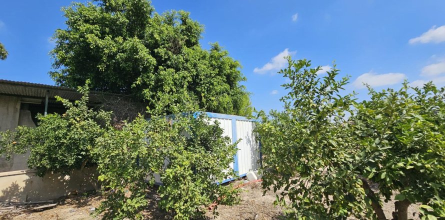 Terreno a Dolores, Alicante, Spagna 40 mq. N° 183632