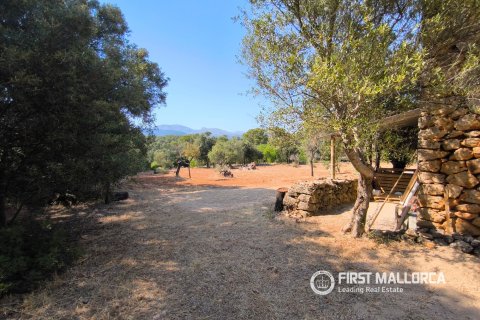 Finca vuokrattavana Buger, Mallorca, Espanja, 3 makuuhuonetta, 242 m2 No. 186962 - kuva 26