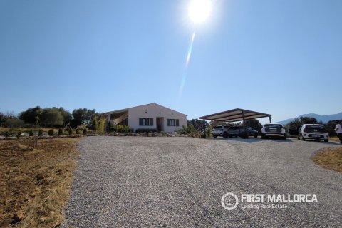 Finca vuokrattavana Buger, Mallorca, Espanja, 3 makuuhuonetta, 242 m2 No. 186962 - kuva 27