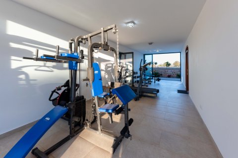 Finca for rent Campos, Mallorca, Spain 5 bedrooms, 500 sq.m. No. 111816 - photo 26