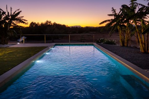 Finca for rent Campos, Mallorca, Spain 5 bedrooms, 500 sq.m. No. 111816 - photo 4
