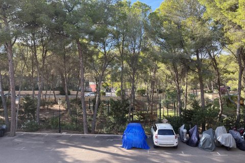 Apartment for sale Sol De Mallorca, Mallorca, Spain 3 bedrooms, 82 sq.m. No. 111818 - photo 13