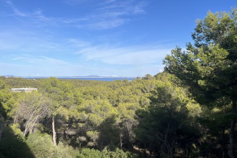 Apartment for sale Sol De Mallorca, Mallorca, Spain 3 bedrooms, 82 sq.m. No. 111818 - photo 6