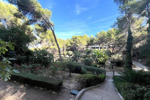 Apartment for sale Sol De Mallorca, Mallorca, Spain 3 bedrooms, 82 sq.m. No. 111818 - photo 12