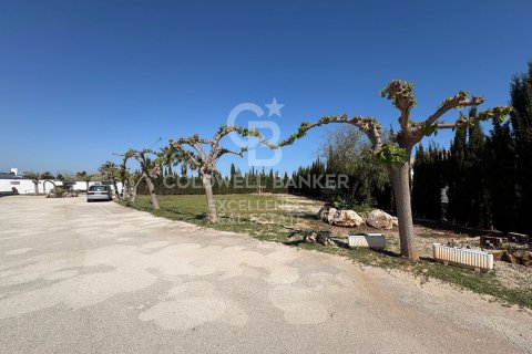Продажа коммерческой недвижимости в Олива, Валенсия, Испания 5714м2 №178620 - фото 14