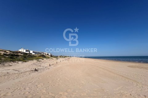 Продажа коммерческой недвижимости в Олива, Валенсия, Испания 5714м2 №178620 - фото 23