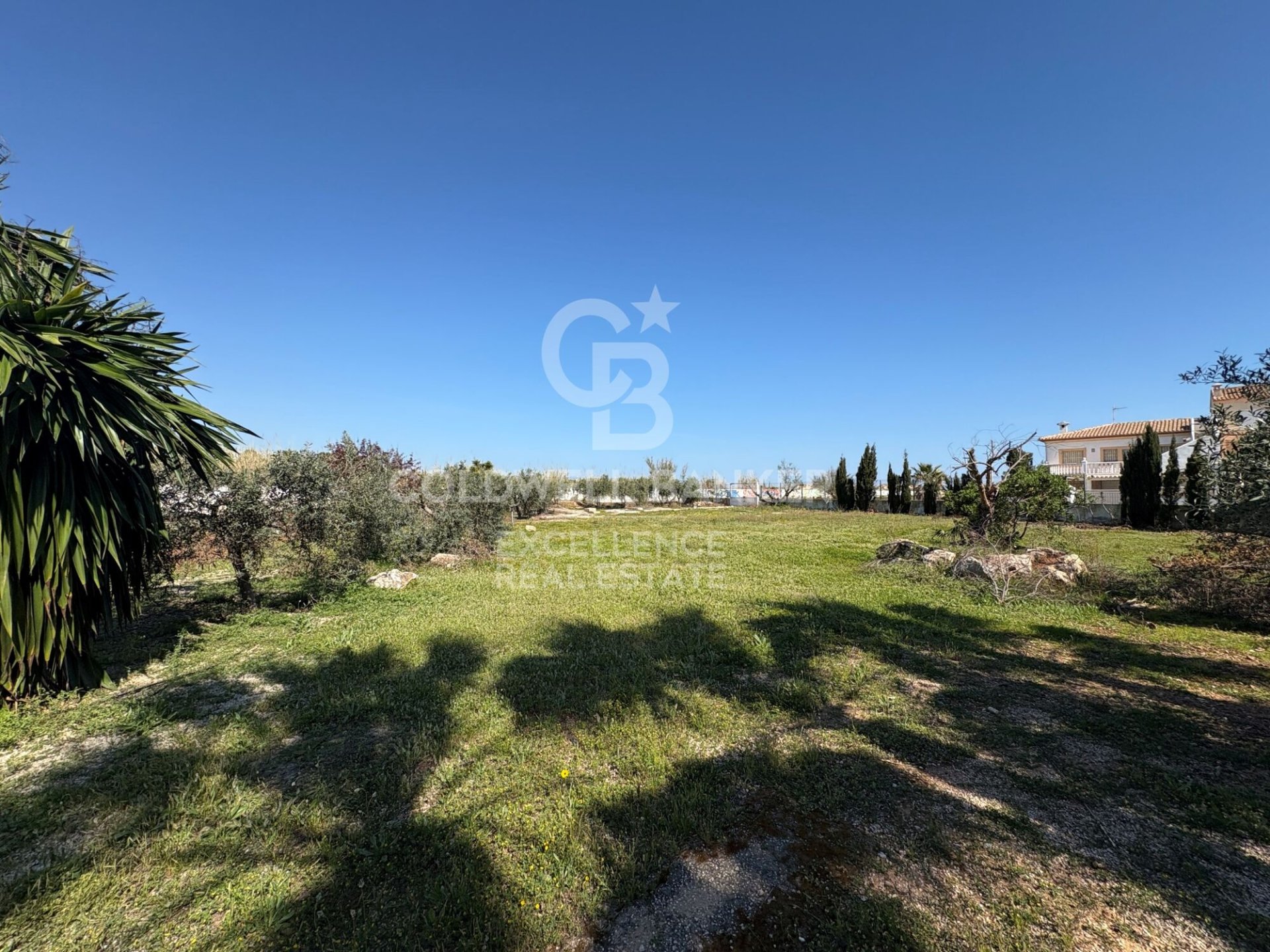 Propiedad comercial en Oliva, València, España 5714 m2 No. 178620